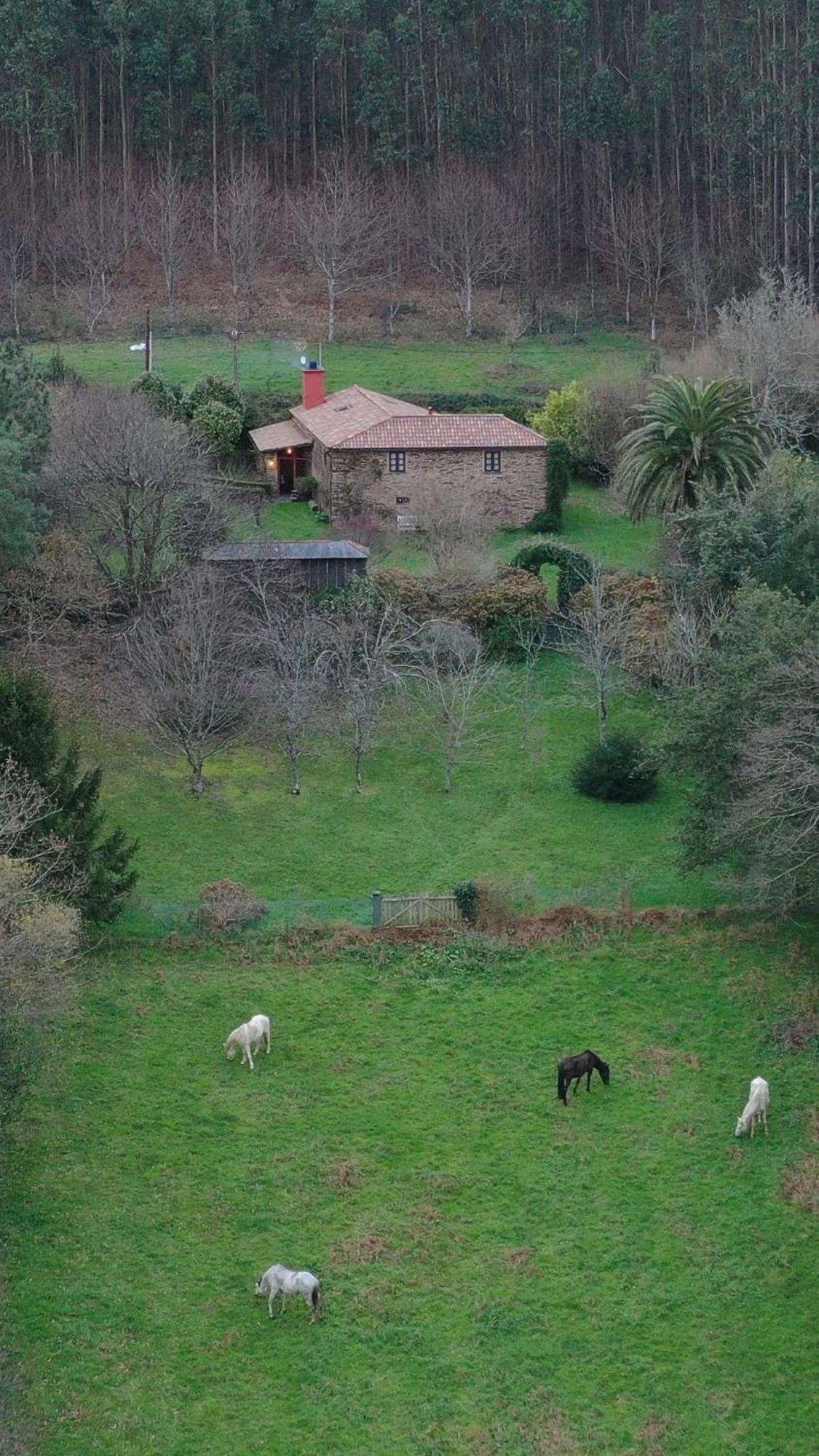Casa Castro De Crecente Villa Valdoviño Eksteriør bilde